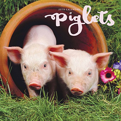 Piglets M 2019