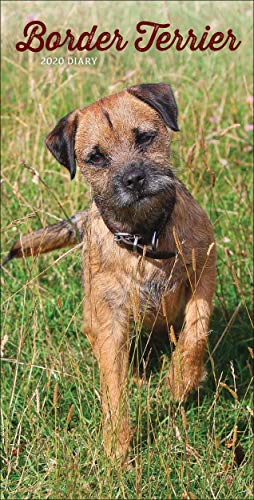 Border Terriers Slim Diary 2020
