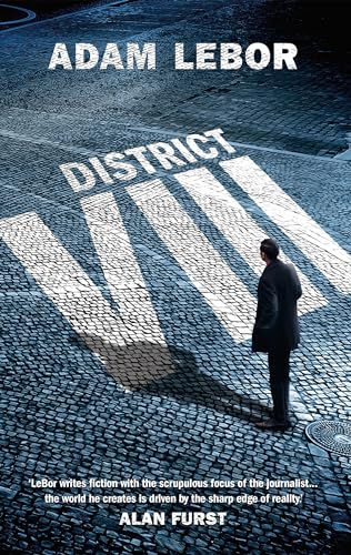 District Viii