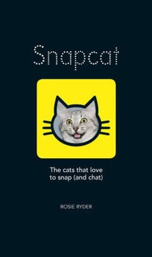 Snapcat The Cats Who Love to Snap  Chat
