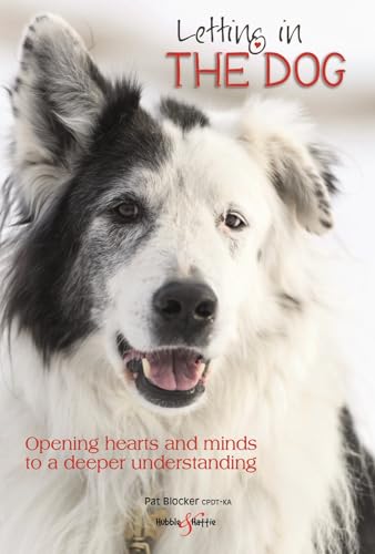 Letting in the Dog