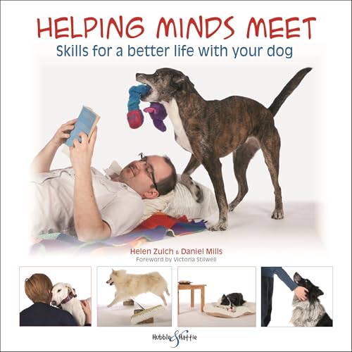 Helping minds meet
