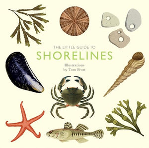 The Little Guide to Shorelines 