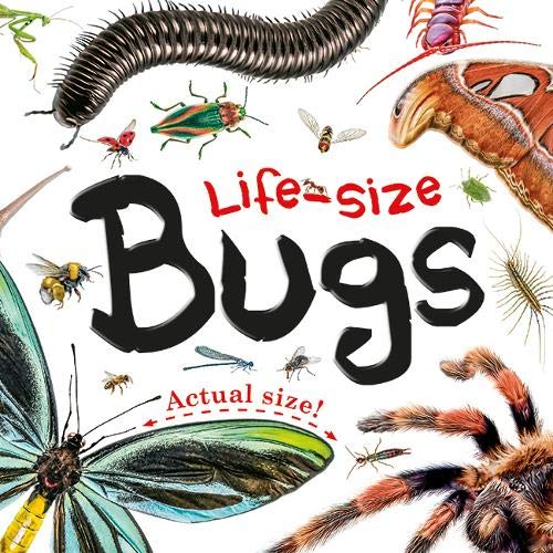 Life-size: Bugs