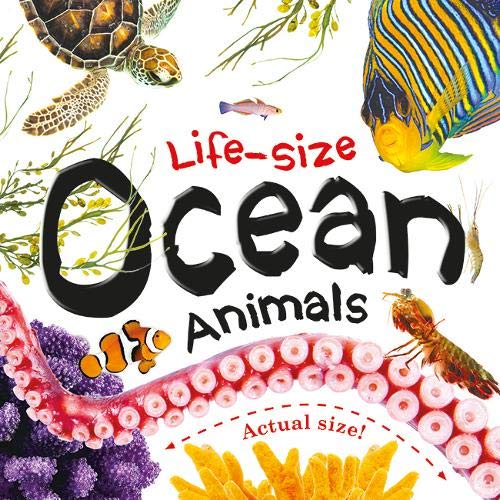 Life-size: Ocean Animals