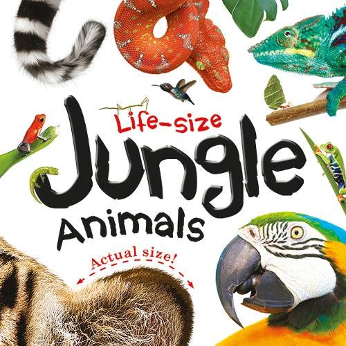 Life-size: Jungle Animals