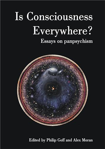 Is Consciousness Everywhere?