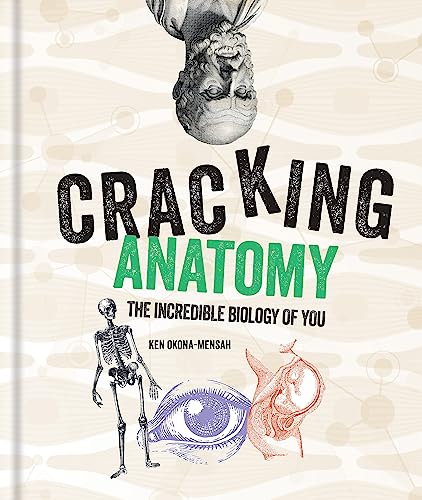 Cracking Anatomy