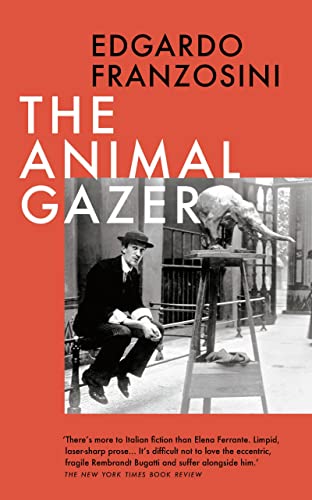 The Animal Gazer