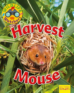 Harvest Mouse 