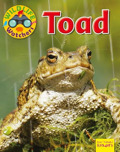 Toad 