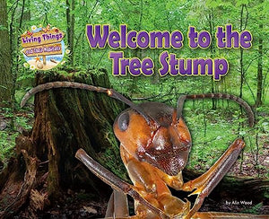 Welcome to the Tree Stump 