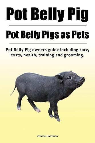 Pot Belly Pig. Pot Belly Pigs as Pets. Pot Belly Pig owners guide including care, costs, health, training and grooming.