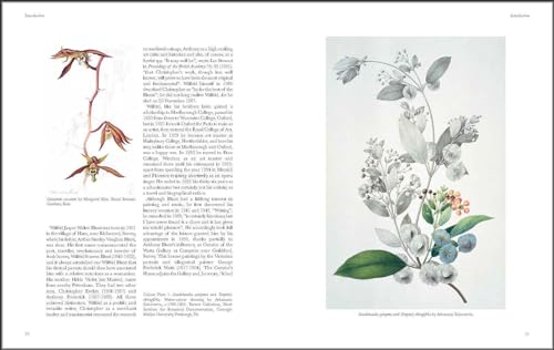 The Art of Botanical Illustration