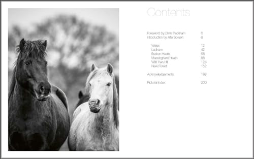 Wild Horses