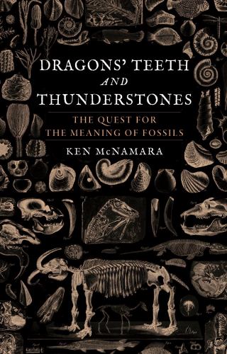 Dragons Teeth and Thunderstones