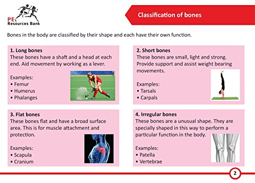 GCSE Physical Education (9-1) Revision Flash Cards