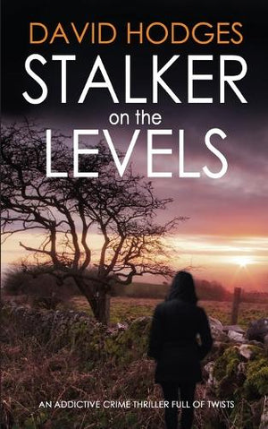 STALKER ON THE LEVELS an addictive crime thriller full of twists