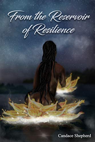 From the Reservoir of Resilience