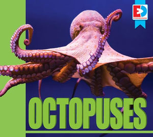 Octopuses