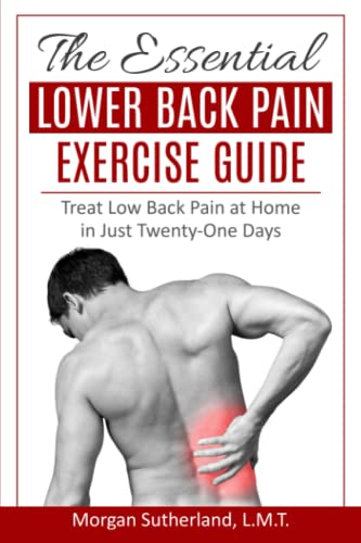 The Essential Lower Back Pain Exercise Guide