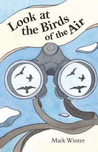 Look at the Birds of the Air