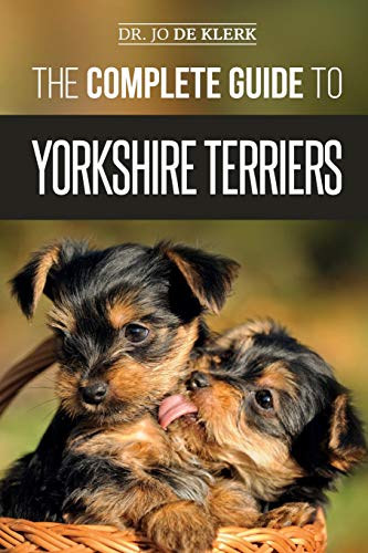 The Complete Guide to Yorkshire Terriers