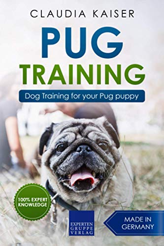 Pug Training: Dog Training for your Pug puppy