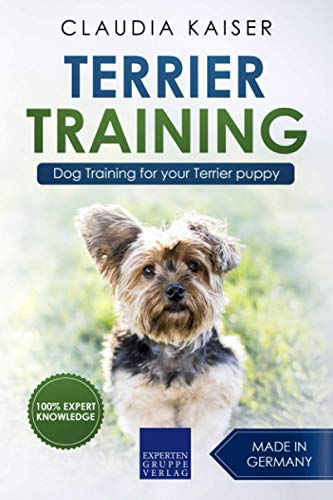 Terrier Training: Dog Training for your Terrier puppy