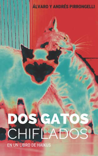 Dos gatos chiflados en un libro de haikus