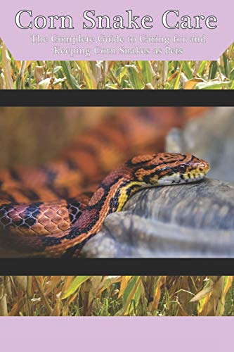Corn Snake Care