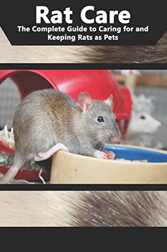 Rat Care