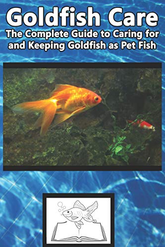 Goldfish Care