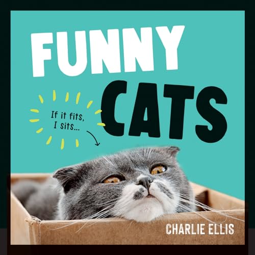 Funny Cats