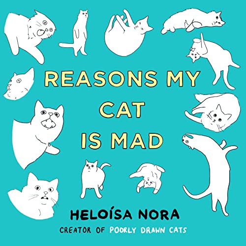 Reasons My Cat Is Mad