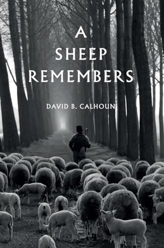 A Sheep Remembers