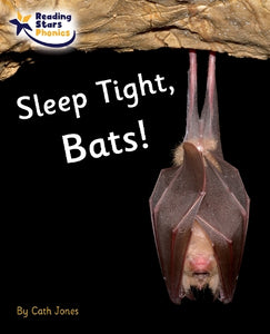Sleep Tight, Bats! 
