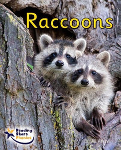 Raccoons 