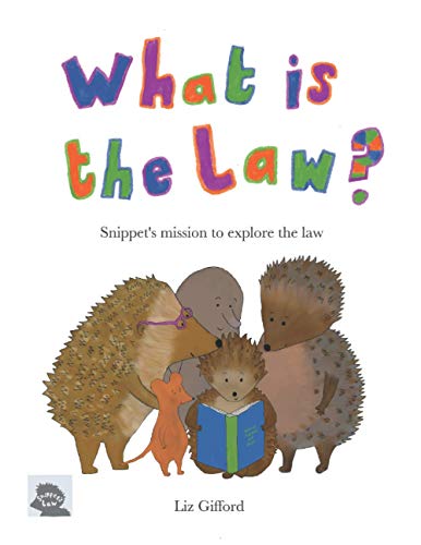 What is the Law?: Snippet's mission to explore the law