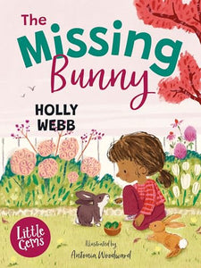 The Missing Bunny 