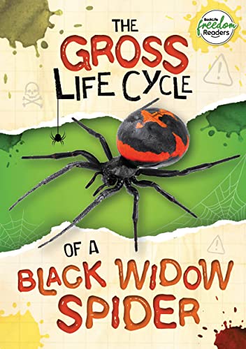The Gross Life Cycle of a Black Widow Spider