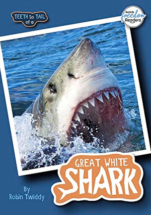 Teeth to Tail of a Great White Shark