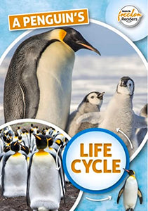 A Penguin's Life Cycle 