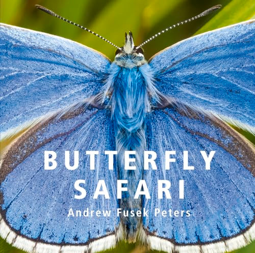 Butterfly Safari