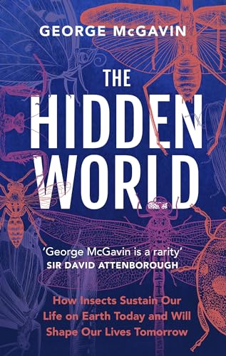 The Hidden World