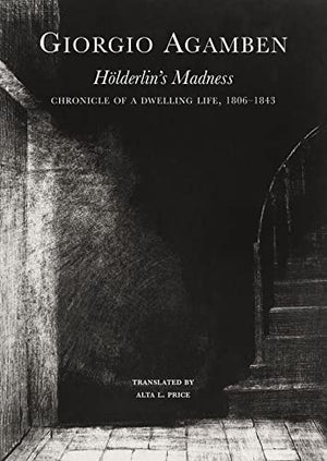 Holderlins Madness  Chronicle of a Dwelling Life, 18061843