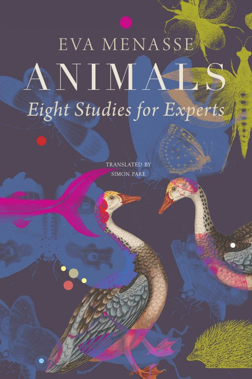 Animals  Eight Studies for Experts