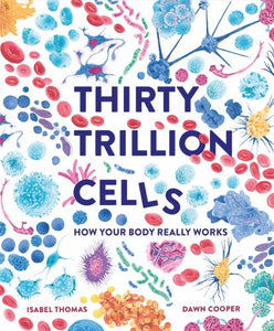 Thirty Trillion Cells 