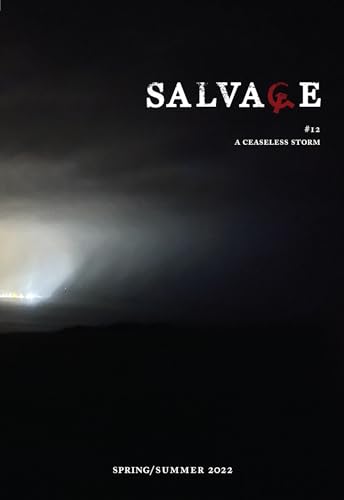 Salvage #12