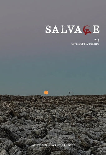 Salvage #13